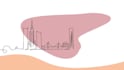 create one line art animation video within 24 hours