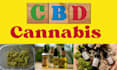 write SEO gardening articles and cbd content for your blog