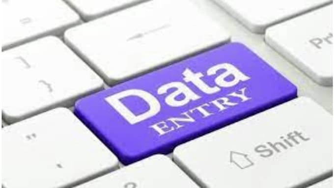 do data entry, manual typing, web research and copy paste