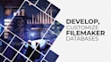 filemaker database design from scratch and bug fixing