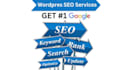 provide onpage SEO and technical optimization for your wordpress website