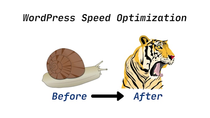 do wordpress speed optimization