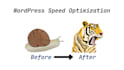 do wordpress speed optimization