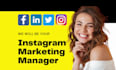 provide professional social media marketing to grow your business