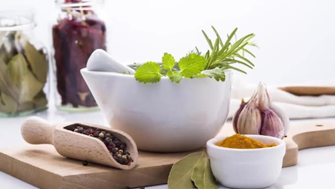 research on herbs and medical plants