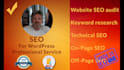 do SEO wordpress full professional service