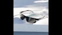 develop luxury sunglasses and 3d eyewear models with dfm ready cad files