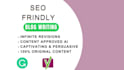 seo mastery unleashed 500 words of digital brilliance