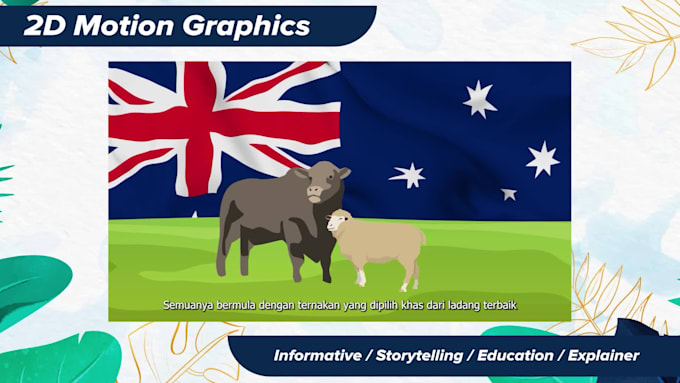 create a custom 2d motion graphics explainer video