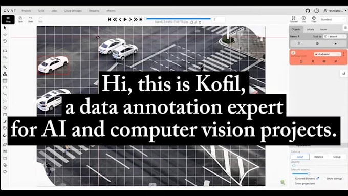 do professional image annotation and video data annotation for ai