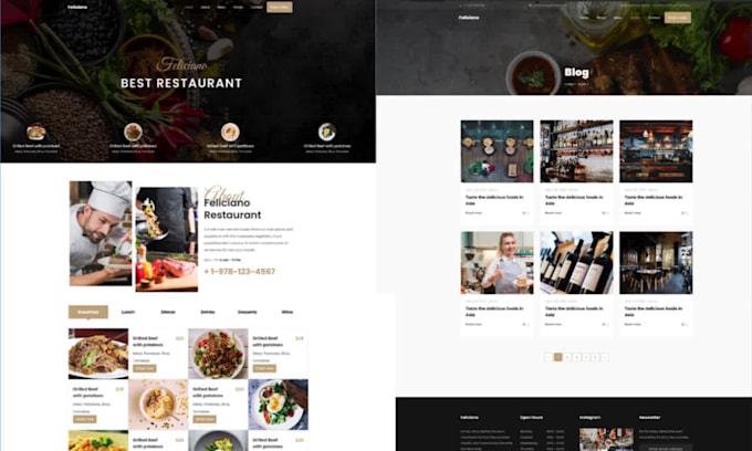 develop wordpress website design and wordpress developer