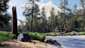 design realistic 3d scene, level design, terrain map, environment in unity 3d