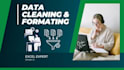 do excel data cleaning, data formatting and data extraction with accuracy