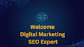 do professional on page seo, keyword search to boost  website on top search rank