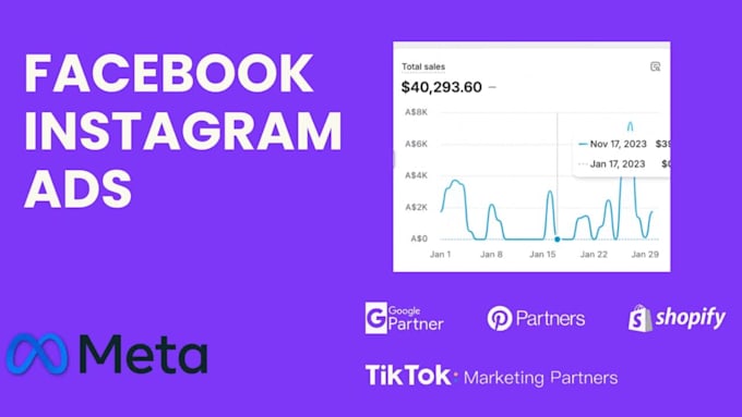 create facebook and instagram ads for e commerce brands and lead generation