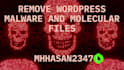do wordpress malware removal expert