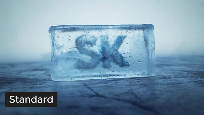 do a custom 3d logo animation and intro video