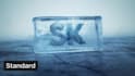 do a custom 3d logo animation and intro video