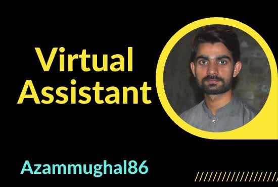 virtual assistant, data entry, web research, copy paste work