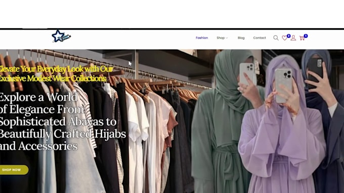 design or duplicate or build a wordpress website
