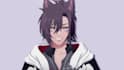 draw and rig 2d vtuber model live2d rigging vtuber avatar anime commission