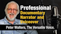 be your professional british english documentary narrator