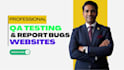 do website QA testing and report bugs professionally