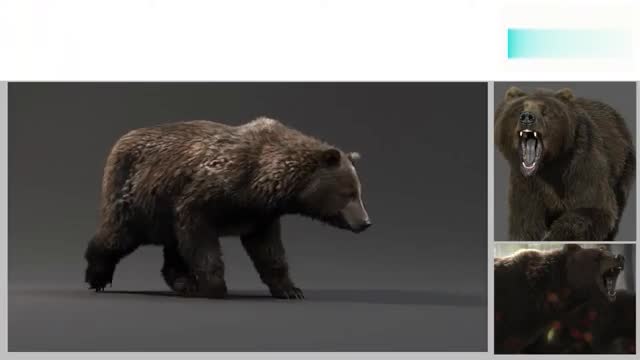 create realistic 3d animal animation, 3d animal model, 3d animal fur, rigging