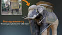 process your photos into a 3d mesh photogrammetry