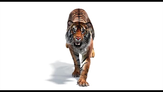 do 3d animal animation, 3d animal rigging, 3d animal vfx compositing, animal fur