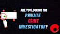 be your professional osint, private investigator expert, and background check