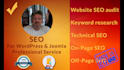 do SEO joomla or wordpress professional service