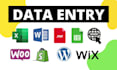 provide fast and accurate data entry and web research