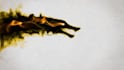create awesome ink dragon logo intro