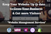 provide website maintenance service as virtual manager