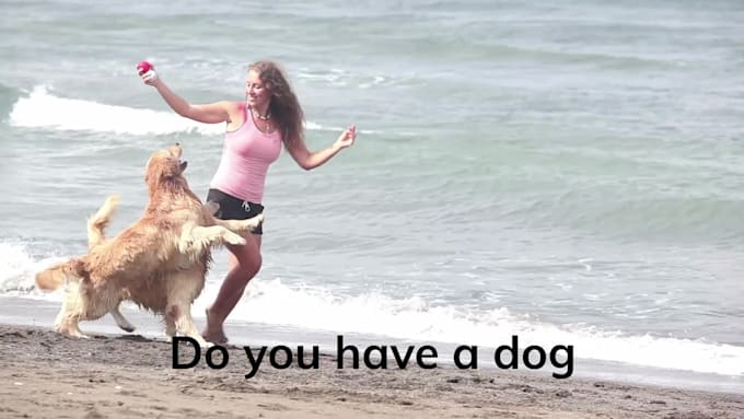 create amazing ads for dog products