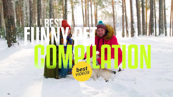 create funny pets compilation videos for facebook, tiktok and youtube