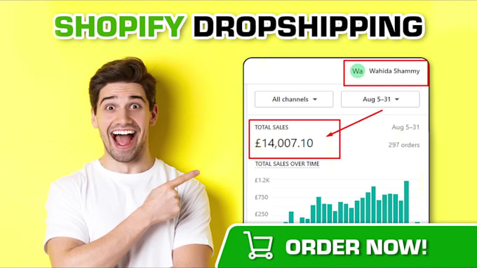 design classy profitable dropshipping shopify store or shopify website