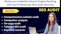 do SEO audit, website audit and will give audit report with action plan to you