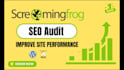 do screaming frog SEO audit and fix technical errors