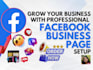 setup, design, fix and optimize your facebook business page