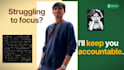 be your adhd body double, study buddy and accountability coach