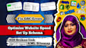 fix gsc errors, optimize website speed, set up schema, 404 links, XML sitemap