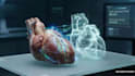 create high end medical animation videos and films