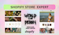 setup shopify store, design shopify store, build shopify website development