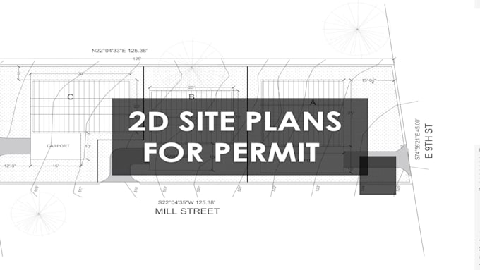 do professional site plan for building permits