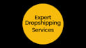 expert dropshipping services for ecommerce stores wordpress shopify ecwid