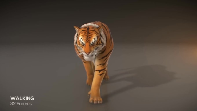 Bengal Tiger Rig