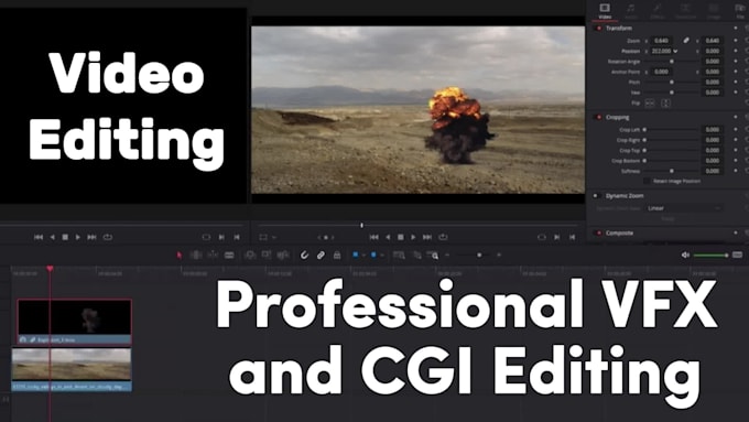 do professional vfx and video editing