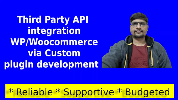 develop custom wordpress plugin, API integration, CRM, erp
